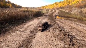 Походный Оптимист "The last trip"