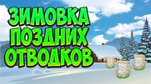 Зимовка поздних отводков в шестирамочных ульях из ППС. Зимовка в пеноплексе. Улья из пеноплекса.