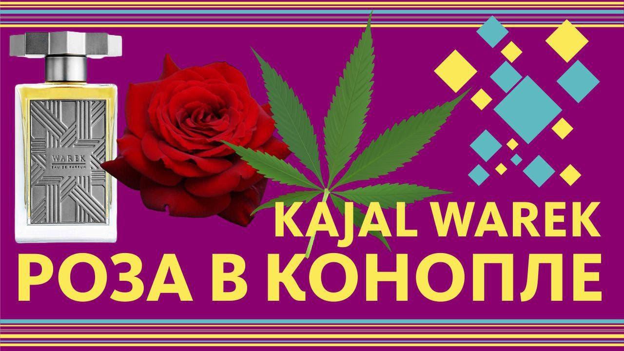 Kajal Warek ОБЗОР парфюма - Конопляная Роза // Fragrance Review смотреть онлайн