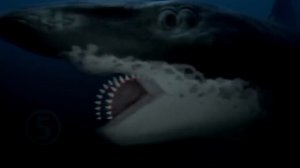 Топ 10 животных которые жыли до динозавров .