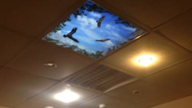 3D натяжные потолки в Armstrong смотреть онлайн