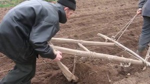 Садим картошку и лопаты не надо жизнь русских в сельской местности