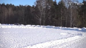 Басенджи Nabamba Shanita (красн). МЗ-2017.