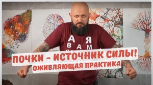 ПОЧКИ - ИСТОЧНИК СИЛЫ! Оживляющая практика.