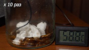 При какой температуре погибают тараканы?