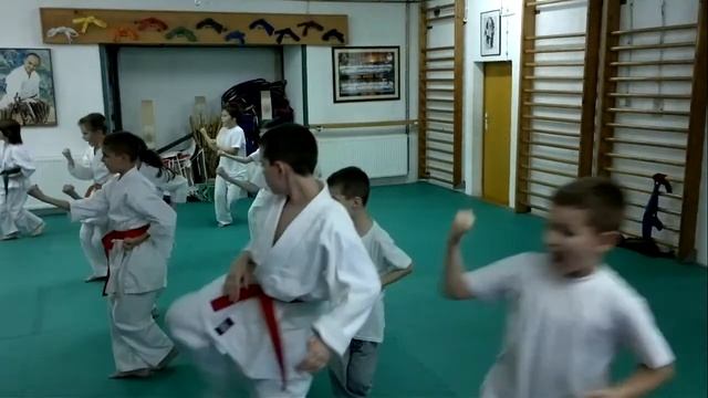 2013 06 13 Николка сдает на красный пояс смотреть онлайн