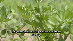 Лёд для лица. Зачем протирать лицо ледяными кубиками?