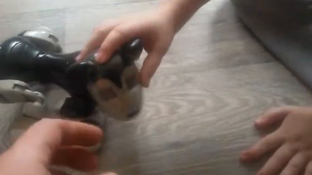 Играем с игрушкой собака - робот Зуммер (Zoomer) смотреть онлайн