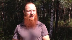 Сосновая пыльца ?Польза, как собираем, храним и применяем
