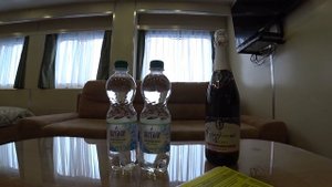 Теплоход «Александр Радищев». Обзор