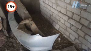 Кладбище домашних животных Брянск