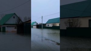 Жесть 😬 #Беляевка #паводок #орск #оренбург #потоп  #урал #розлив #наводнение