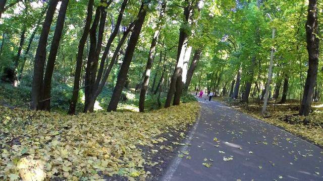 Вело покатушка с семьей