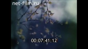Омск 80-е (convert-video-online.com)