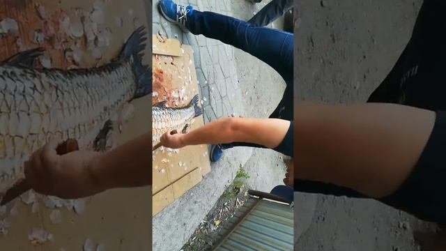Мастер класс по чистке Амура