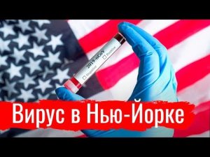 Вирус в Нью-Йорке. Кошмар либертарианца  // По-живому