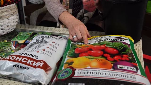 Огурцы круглый год на подоконнике - выращиваем с Хитсад