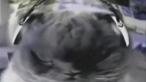 Preview 2 Numa Cats V2 Effects (Preview 2 Mokou Deepfake Effects)