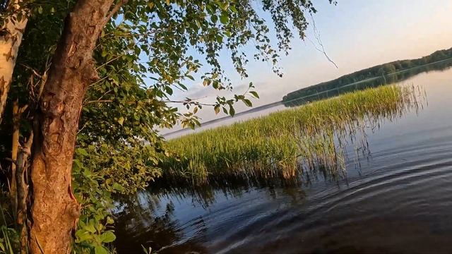 Моторыбалка в Подмосковье. Фидер на закате. Yamaha FZ1 смотреть онлайн