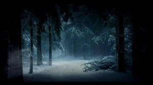 Blizzard / Метель