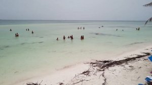 Cuba | Cayo Blanco | Catamaran Tour | Delphine | Drone | 4K