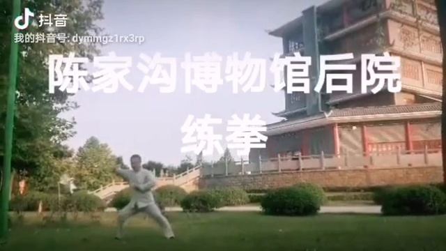 Стиль Чэнь 1