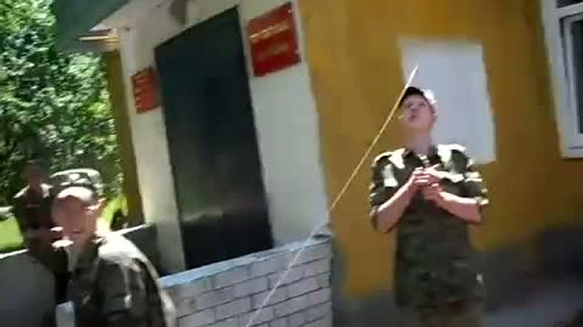 Шершень на привязе