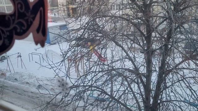 Шашлык на электро шашлычнице