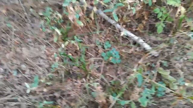 MD4030p давно ЛЕМЕХА не поднимал смотреть онлайн