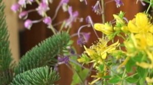 Sony HDR-HC9 test - with Slow Motion