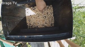 Как приготовить горячего копчение Окуня в домашних условиях