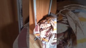 Вот как живут в беларусском упнп и крс / чнс