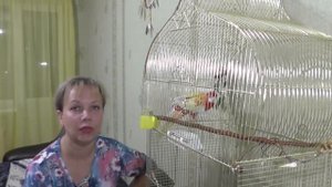Розеллу как назвали. Будем ли приручать.