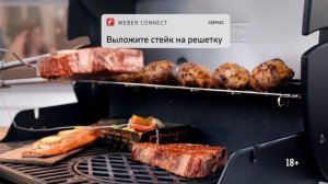 Газовые грили Weber серии EX Smart