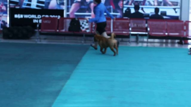 Элис в Баку смотреть онлайн