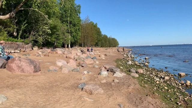 ЕДЕМ НА МОРЕ! ПЛЯЖИ САНКТ-ПЕТЕРБУРГА, ФИНСКИЙ ЗАЛИВ.