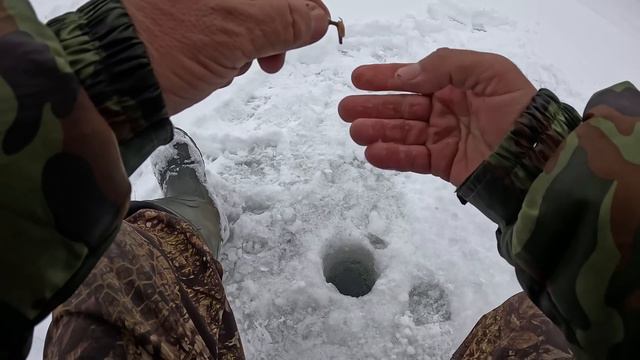 Попал на вечерний клёв! Рыбалка на речке 19 февраля 2024 смотреть онлайн