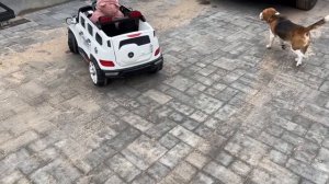 ПАПА ГУЛЯЕТ С ДОЧКОЙ. КОТ БОИТСЯ УЛИЦА. НИКА ЛАЙФ