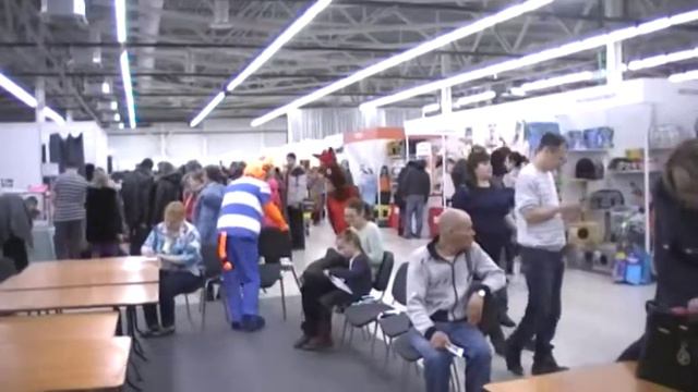 Пермская Ярмарка.Выставка Кошек