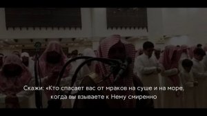 "Даже лист падает только с Его ведома".
Сура Аль-Ан'ам 59-67 аяты