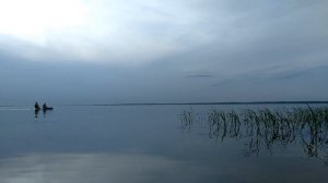 Гоняем сап-борды на озере Плещеево / Sup board / Переславль