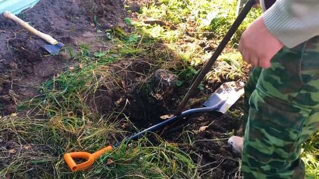 Как избавиться от пня на участке в деревне своими руками?