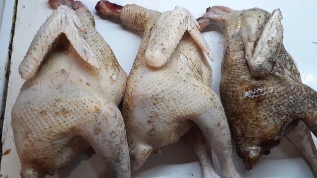 Петушки Марана и Ленинградской золотистой. смотреть онлайн