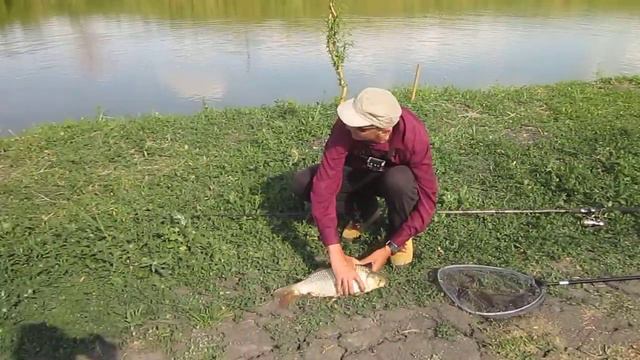 MVI 8241 смотреть онлайн