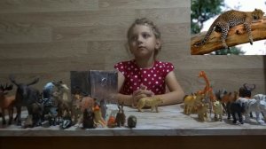Изучаем диких животных с детьми  Ягуар  5 топовых фактов о ягуарах!!!!!