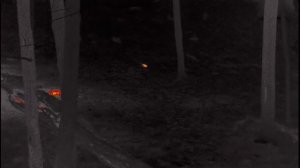 Тепловизор мышь