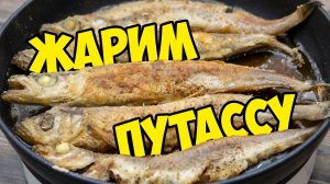 ПУТАССУ. Очень хочу, чтобы вы её попробовали! ПРОСТОЙ РЕЦЕПТ ЖАРЕНОЙ РЫБЫ