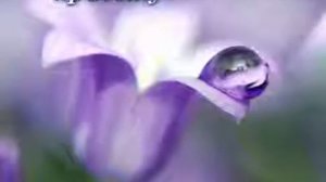 КАРАОКЕ  -  Красота Иисуса, святись во мне