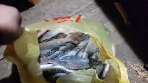 Путешествии на Зимний Кантегир