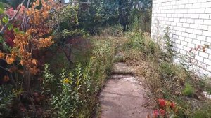 Уютная дача с положительно заряженной энергией в СНТ Надежда